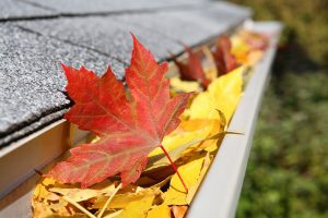 A close-up image of gutters clogged with colorful leaves.